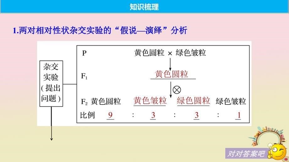 高考生物一轮复习第五单元遗传的基本规律和人类遗传病第16讲基因的自由组合定律备考一体课件苏教版_第5页