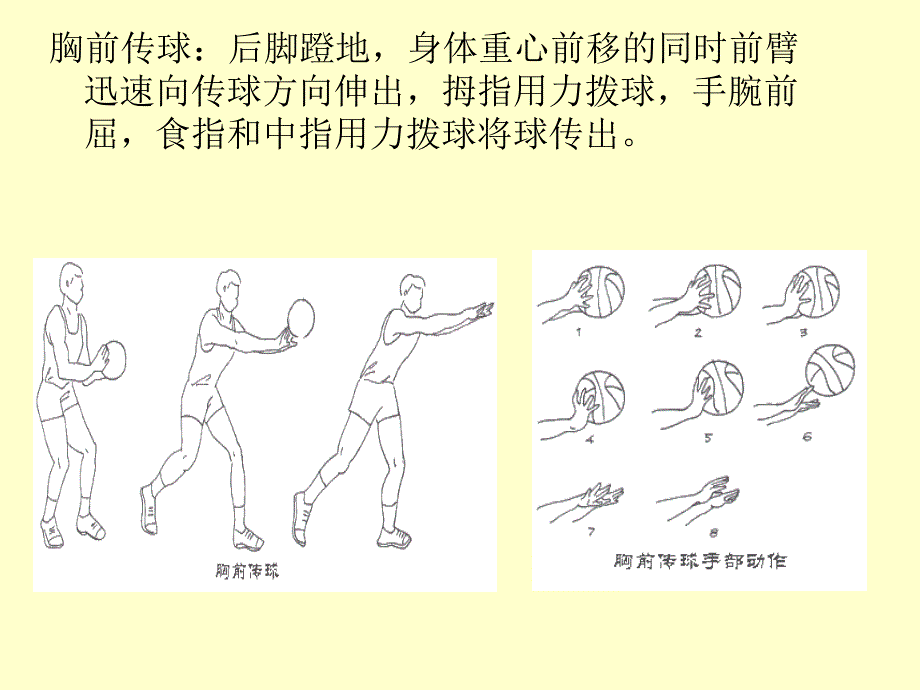 篮球基础——传球_第4页