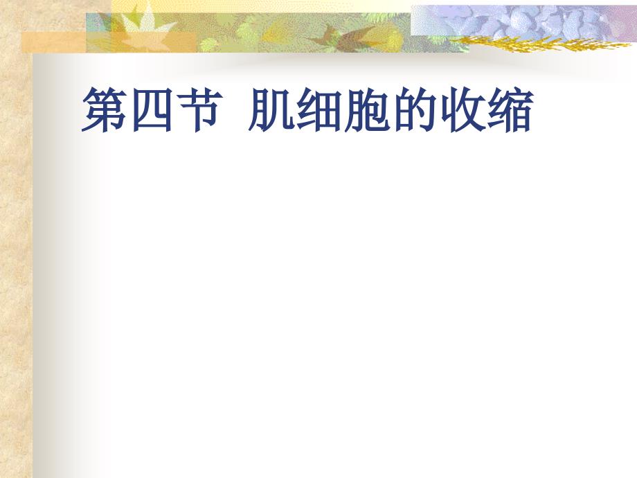 肌肉收缩机理_第1页
