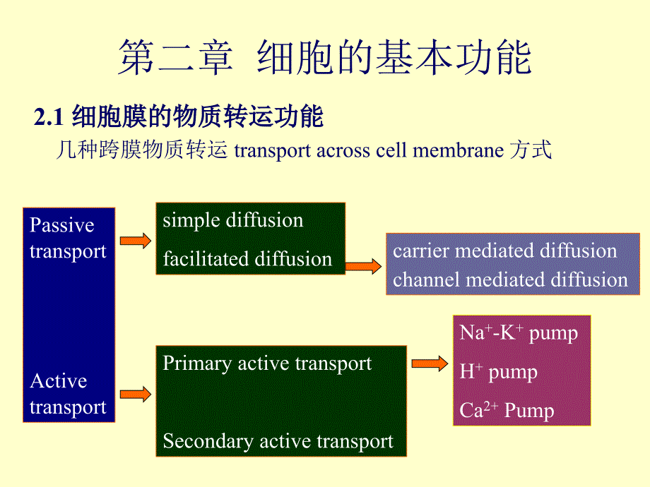 《细胞的基本功能》PPT课件_第1页