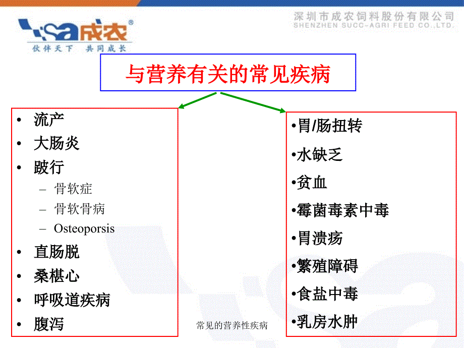 常见的营养性疾病_第3页