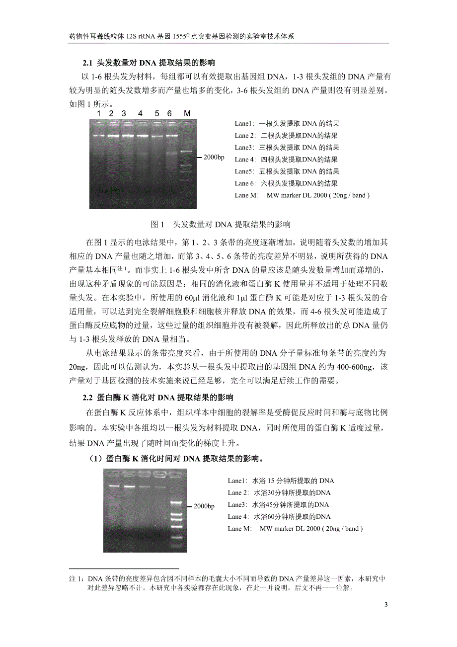 毛囊组织DNA提取方法的研究_第3页