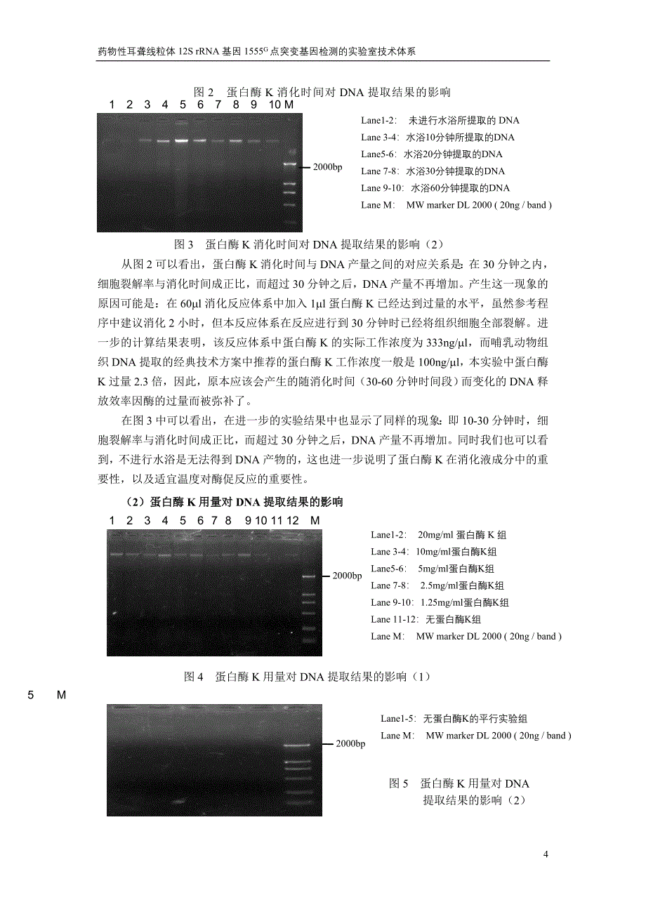 毛囊组织DNA提取方法的研究_第4页