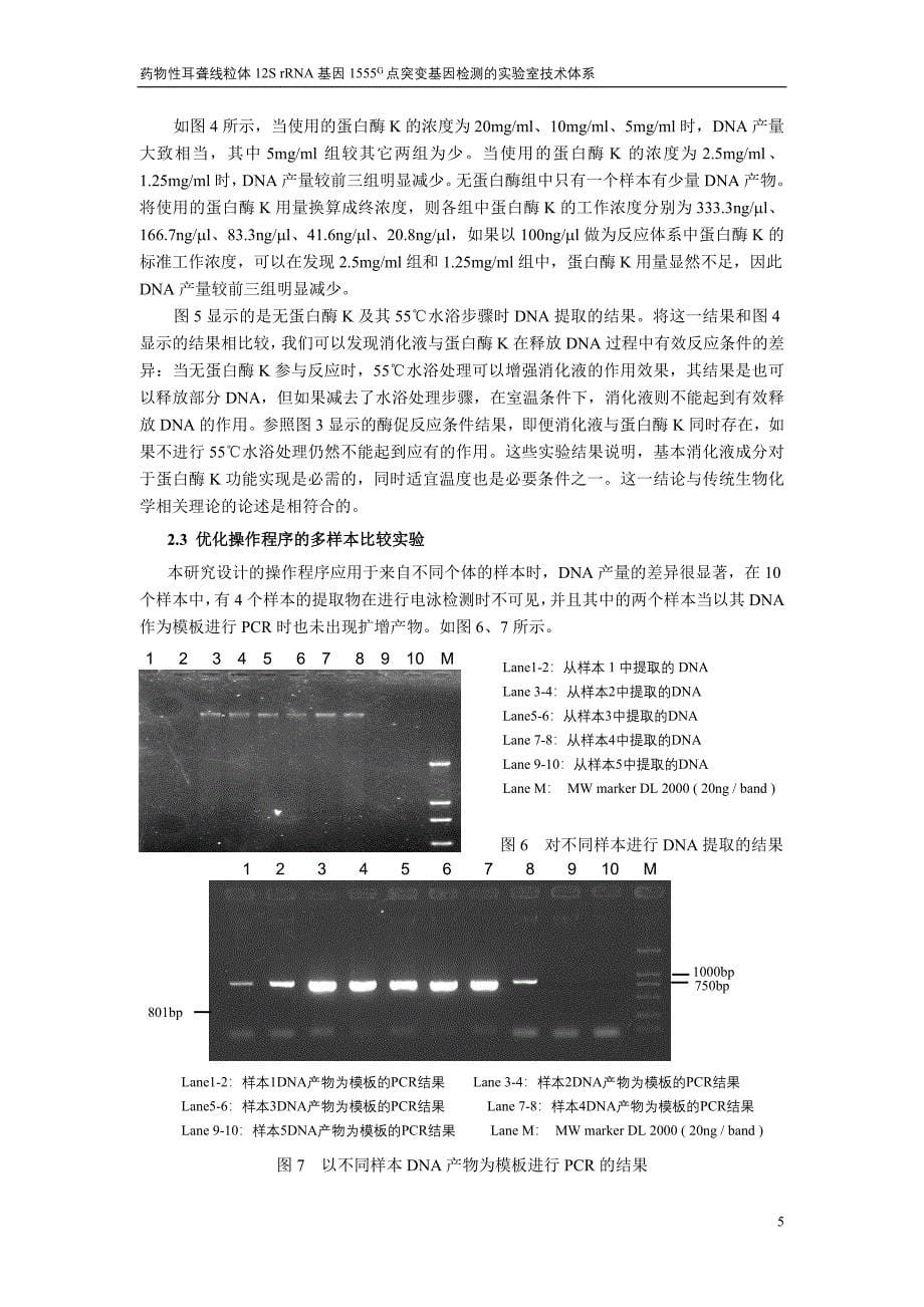 毛囊组织DNA提取方法的研究_第5页