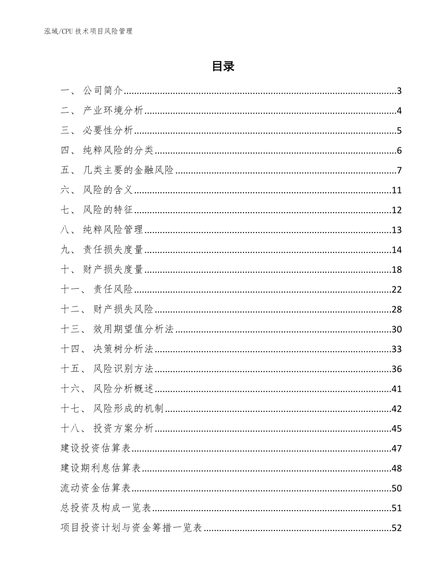 CPU技术项目风险管理_第2页