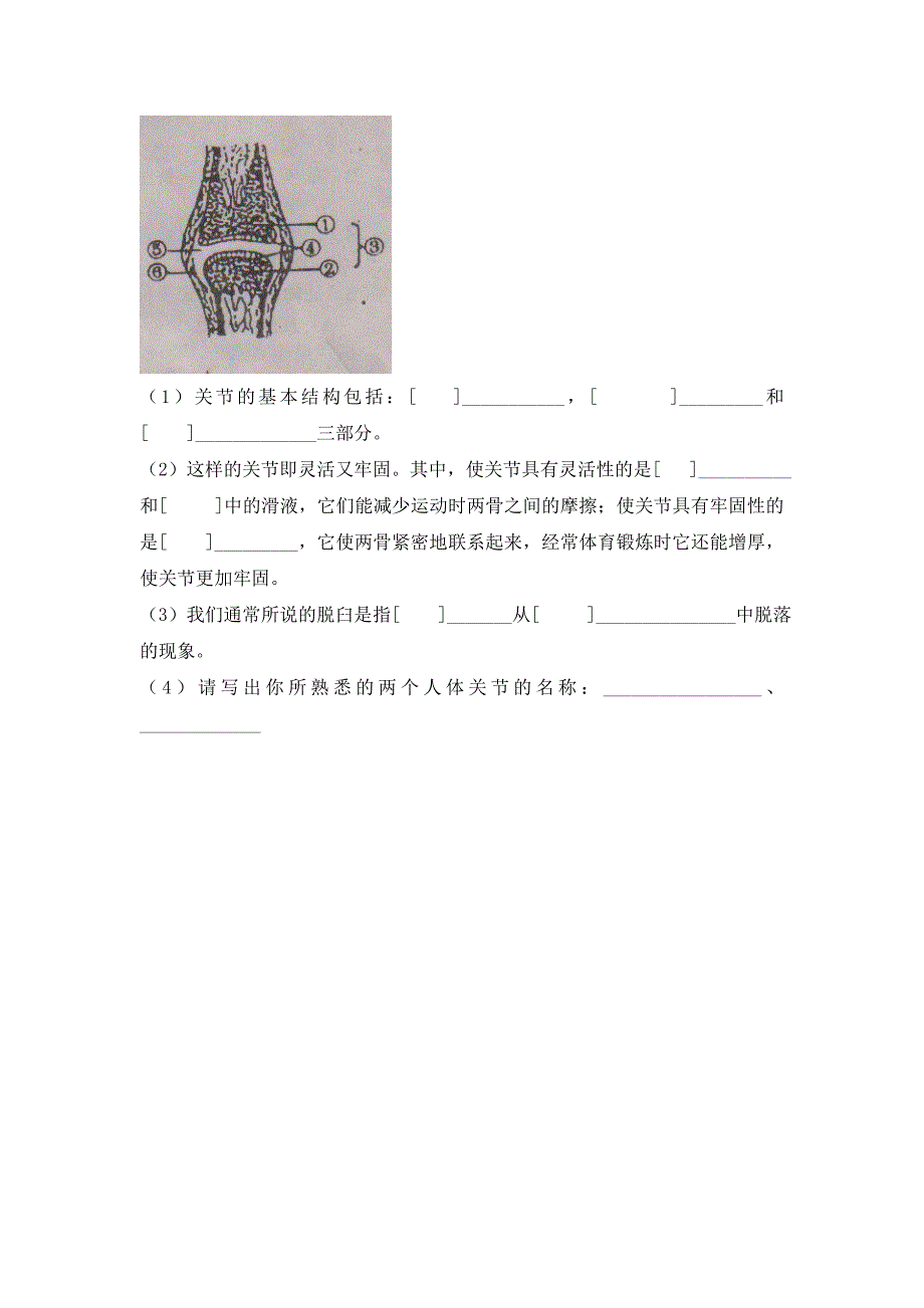 八年级生物上册动物的运动复习巩固练习题.doc_第4页