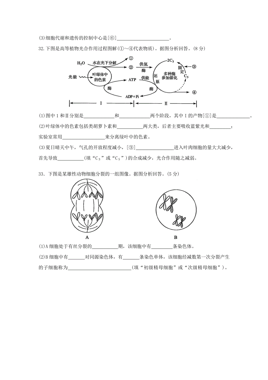 2019年福建普通高中会考生物真题及答案_第4页