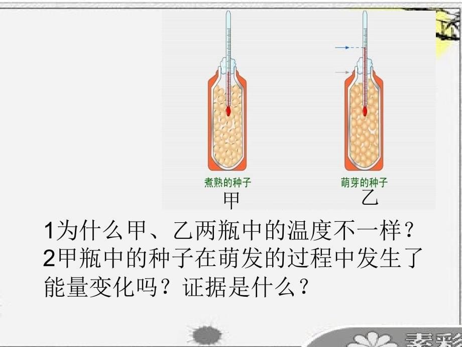 绿色植物对有机物的利用.ppt_第5页