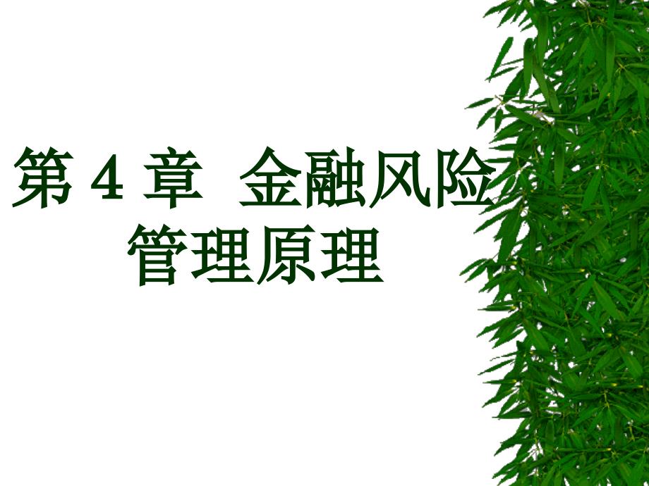 金融风险管理原理_第1页