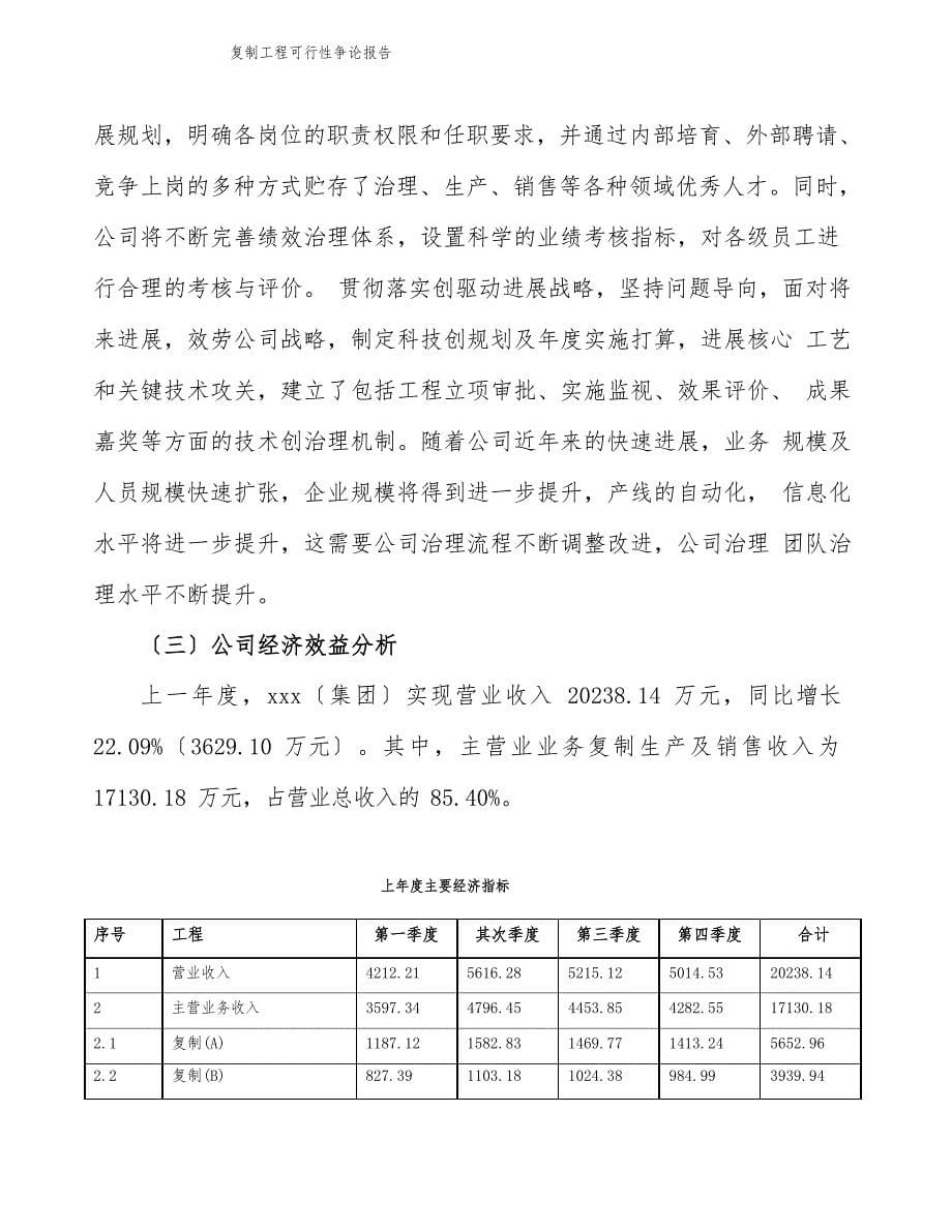 )复制项目可行性研究报告模板_第5页