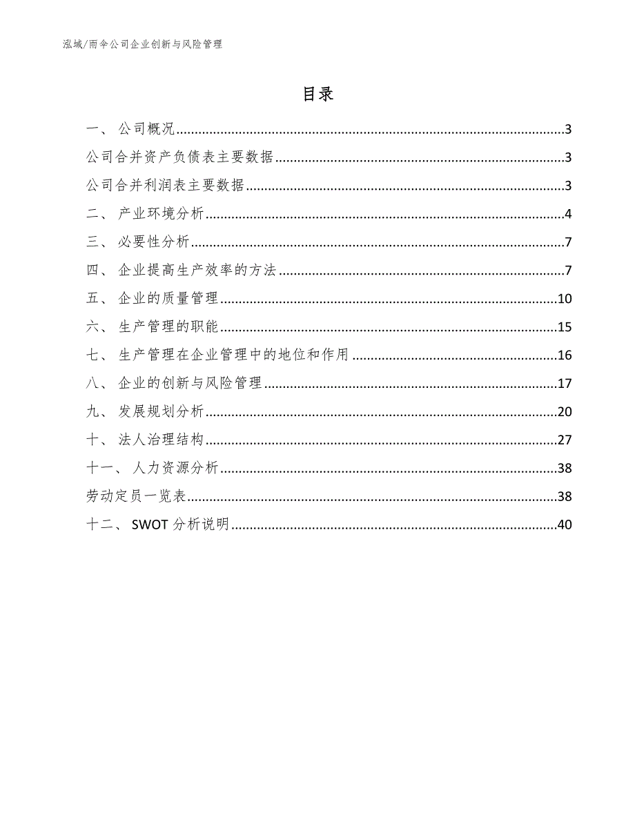 雨伞公司企业创新与风险管理_参考_第2页