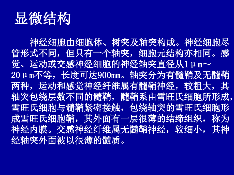 周围神经损伤及诊断治疗新进展PPT课件_第3页