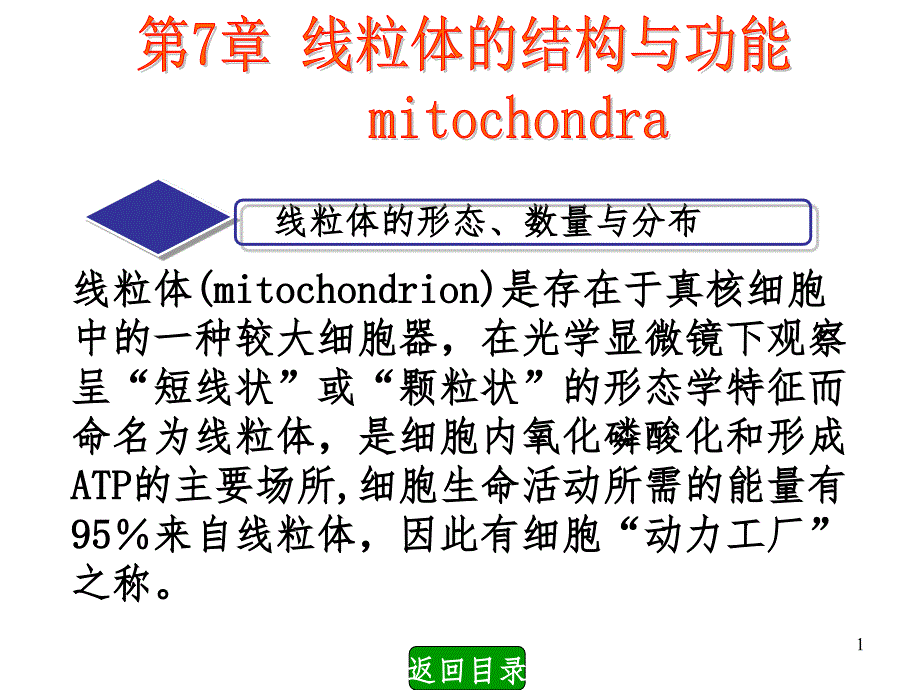 第七章线粒体的结构与功能PPT课件_第1页