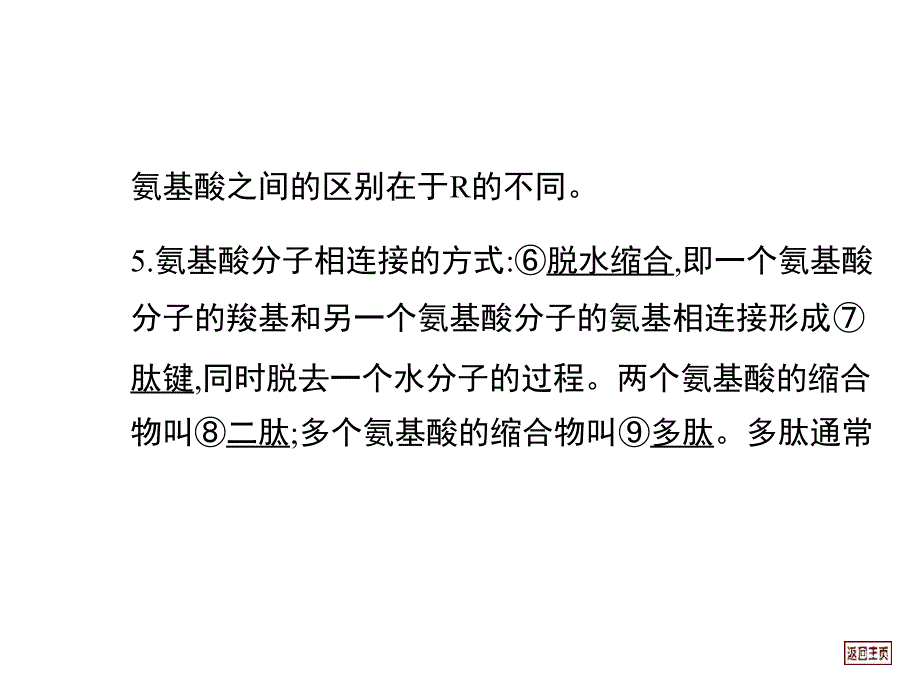 细胞中的蛋白质_第2页