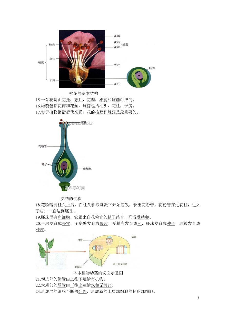 人教版初中生物中考复习图专题_第4页