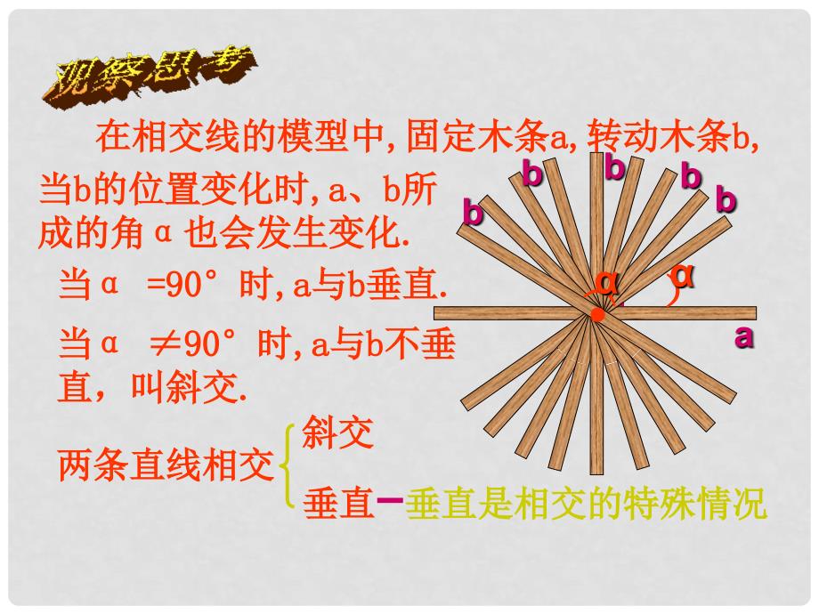 山东省淄博市沂源县中庄乡中学八年级数学下册 垂线同步课件 新人教版_第2页