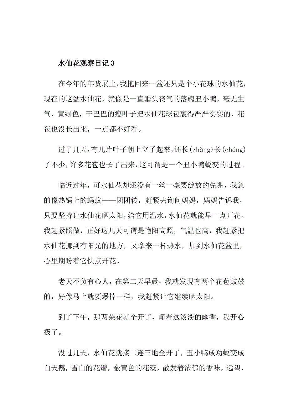 水仙花观察日记500字_第4页