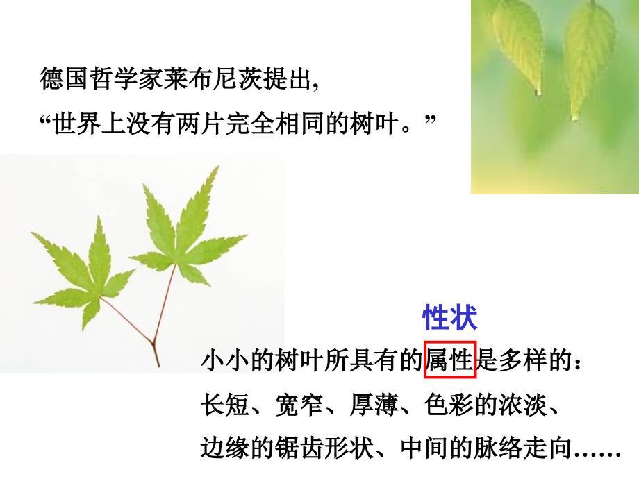 第五节生物的变异.ppt_第1页