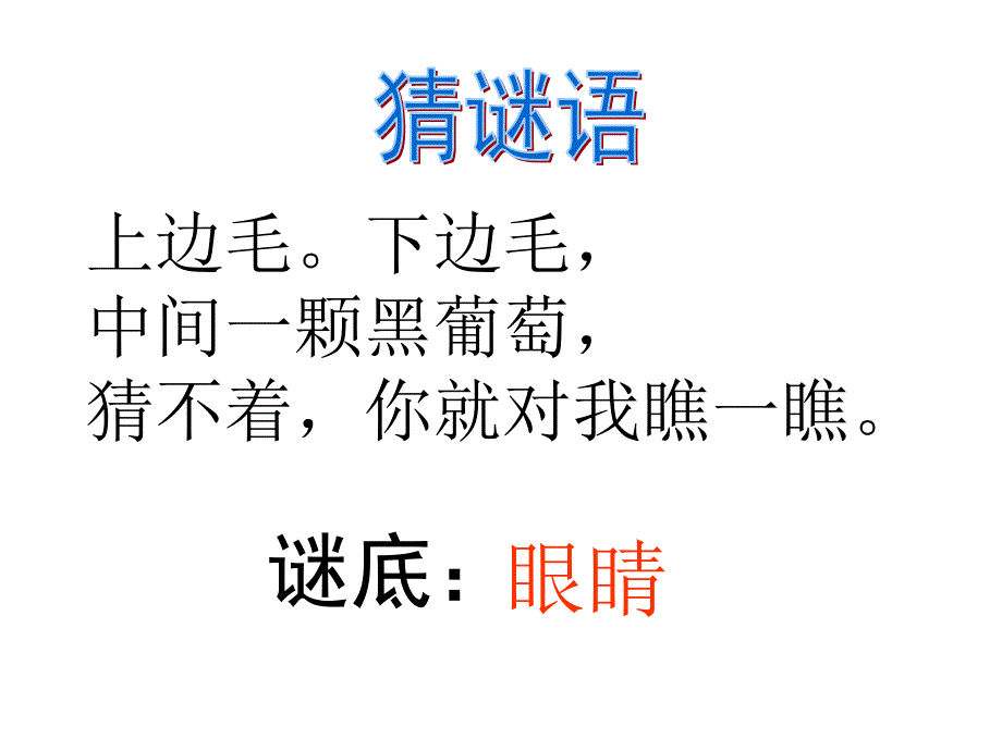 一年级上册语文课件保护器官｜ 西师大版 (共13张PPT)_第2页