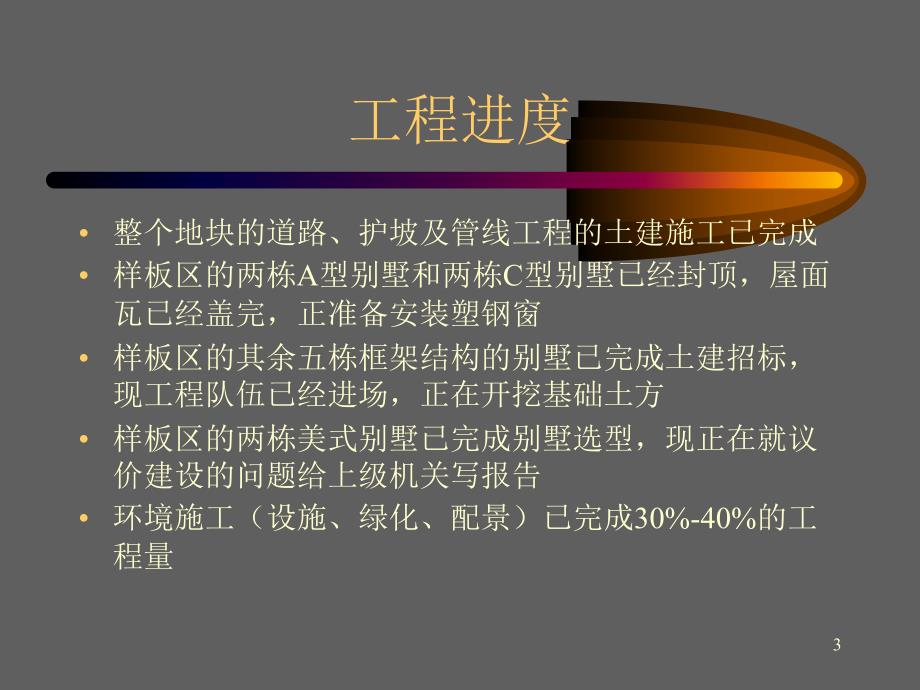 房地产策划案例海景别墅工作进度和因素分析_第3页