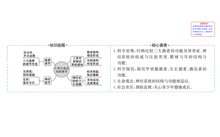 人体生命活动的调节复习ppt课件_第2页