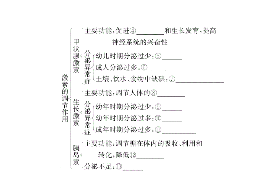 人体生命活动的调节复习ppt课件_第4页