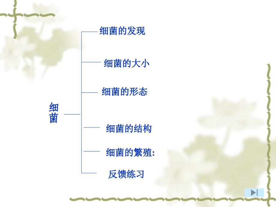 我的学习成果展示教学课件_2_第2页