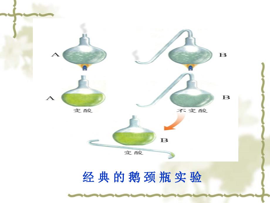 我的学习成果展示教学课件_2_第3页