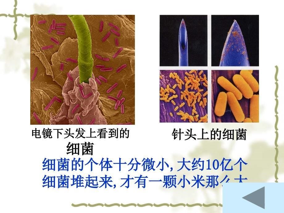 我的学习成果展示教学课件_2_第5页