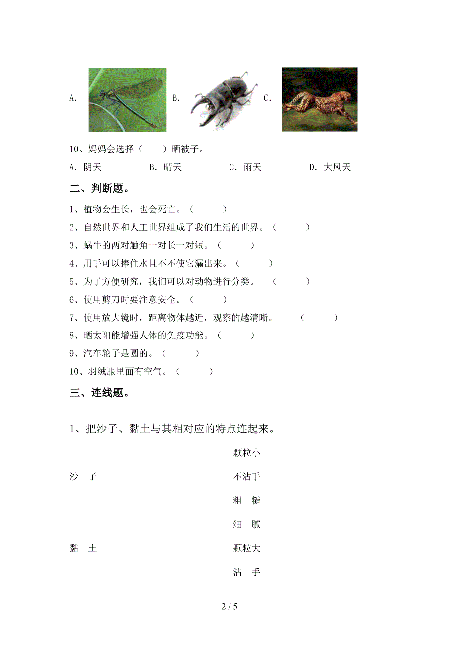 人教版一年级科学上册期中考试(完美版).doc_第2页