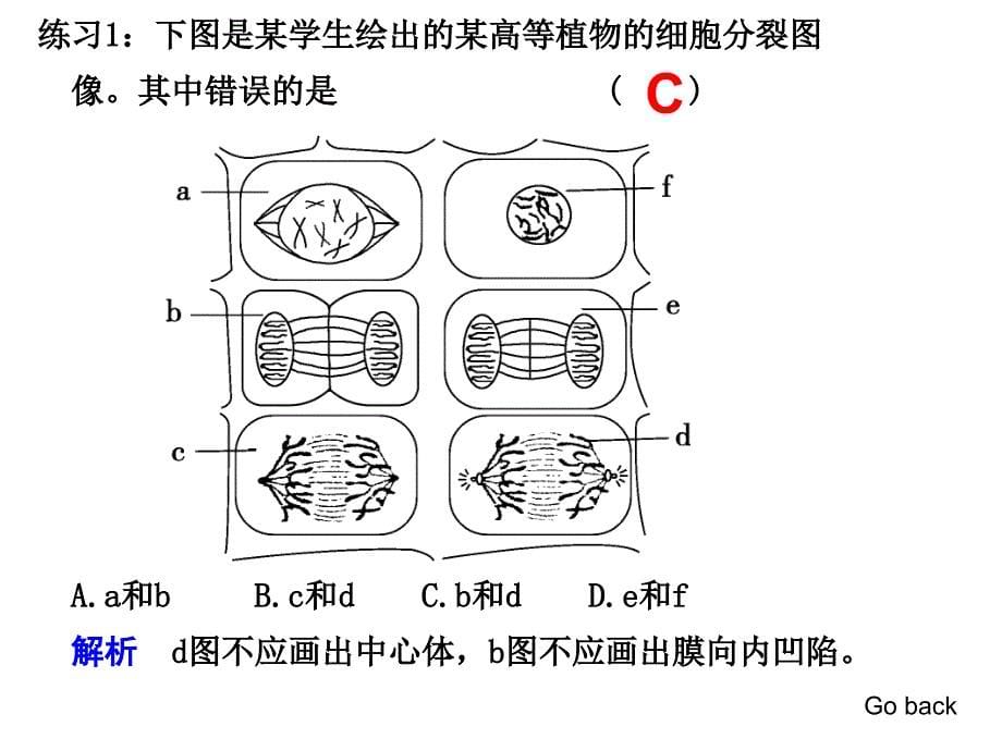 第二轮复习专题三细胞的生命历程_第5页