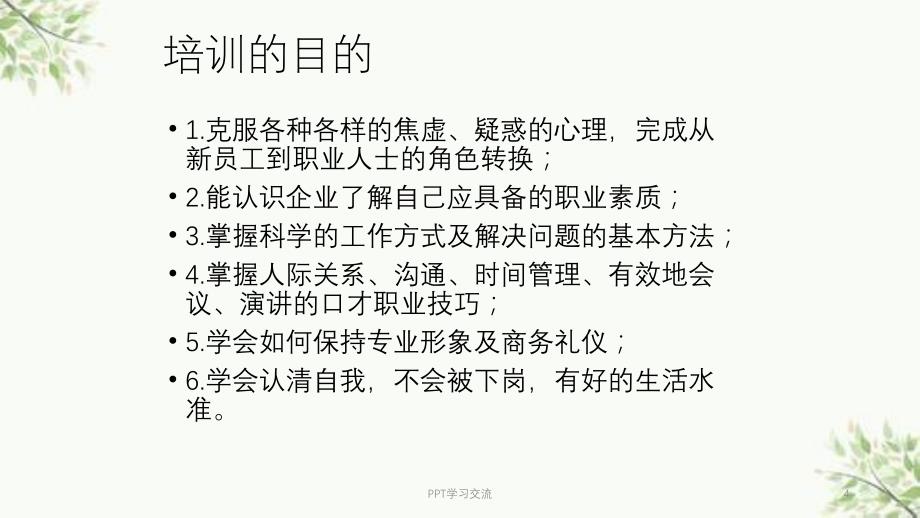 管理执行风暴课件_第4页