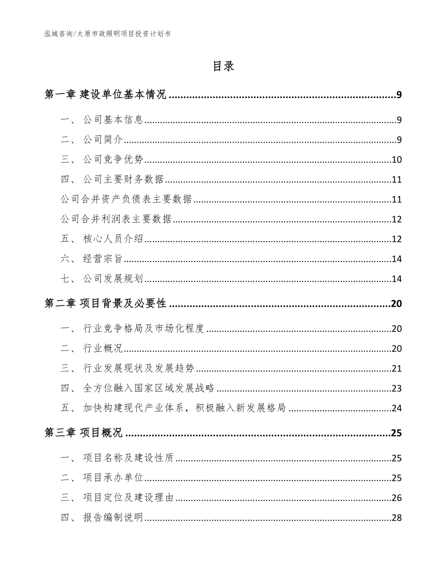 太原市政照明项目投资计划书【范文参考】_第2页
