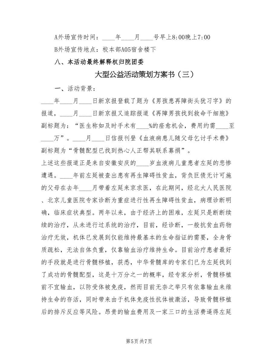 大型公益活动策划方案书（三篇）.doc_第5页