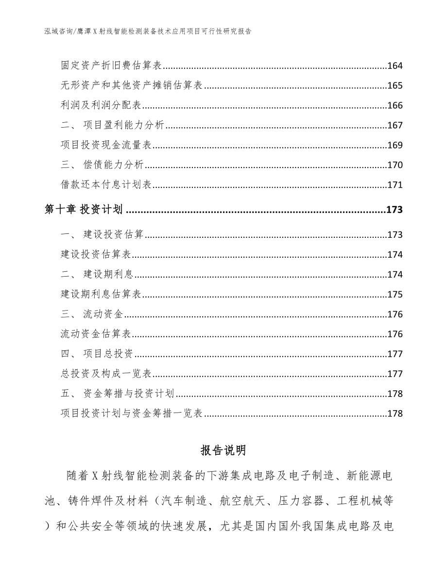 鹰潭X射线智能检测装备技术应用项目可行性研究报告模板参考_第5页