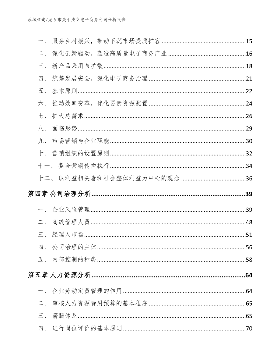 龙泉市关于成立电子商务公司分析报告_第3页