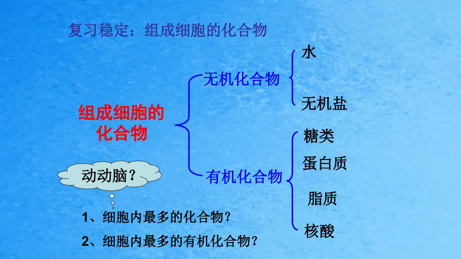 人教版高中生物必修一第二章第2节生命活动的主要承担者蛋白质公开课教学共34张ppt课件_第2页