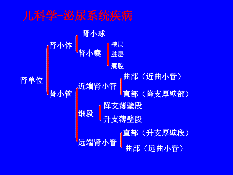 儿科学泌尿系统疾病_第3页