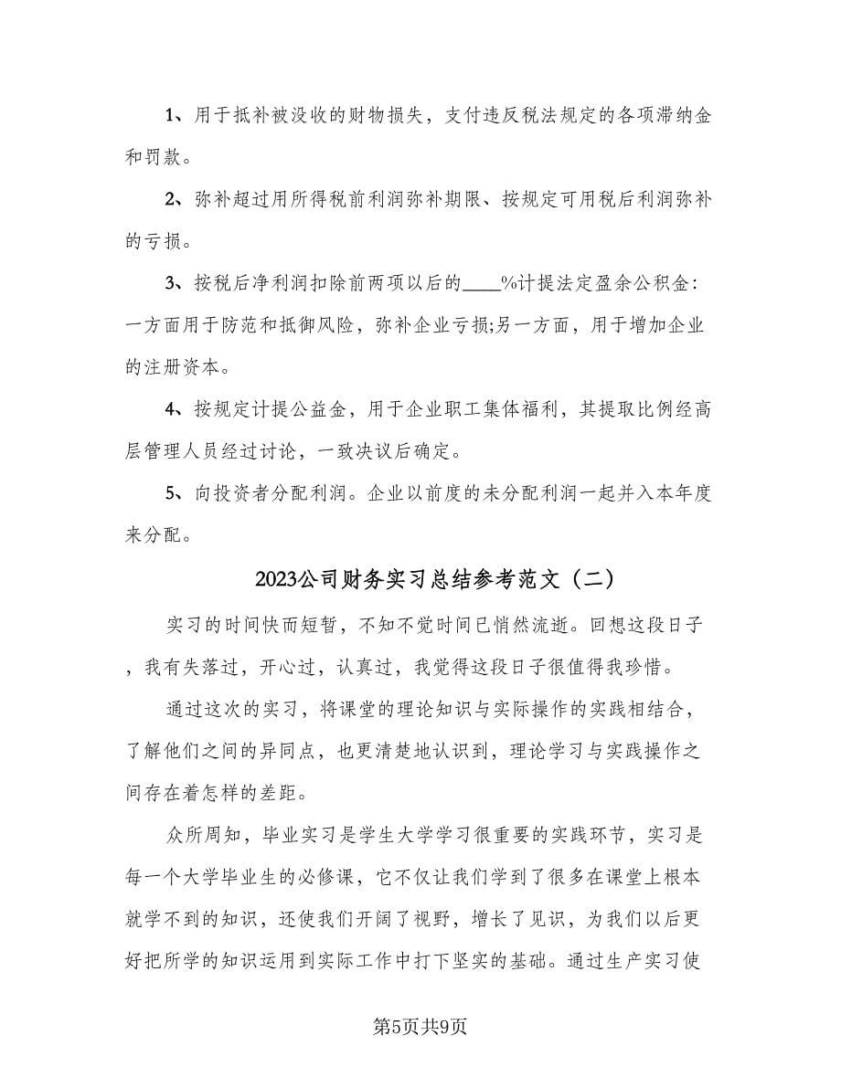 2023公司财务实习总结参考范文（3篇）.doc_第5页