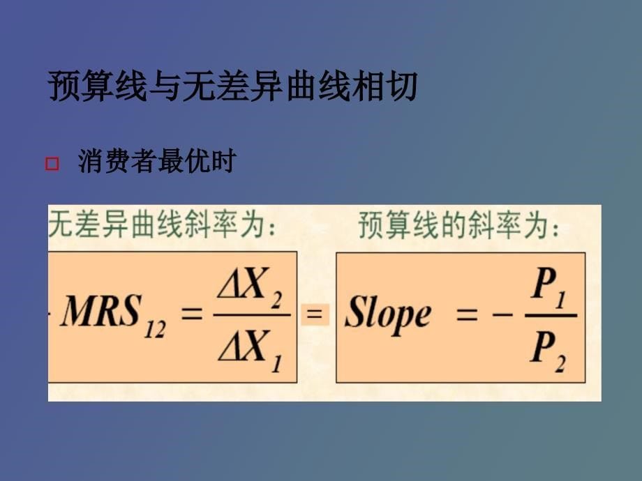 选择与效用最大化_第5页