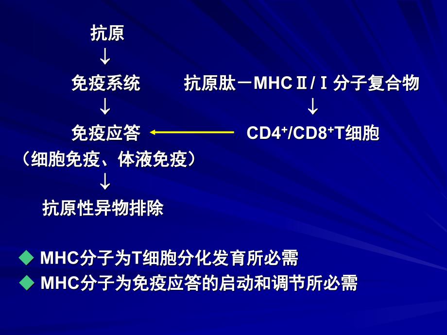 主要组织相容性复合体_第2页