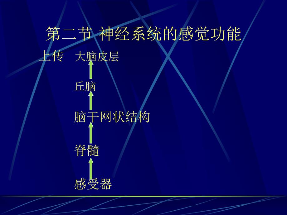 九章神经系统_第2页