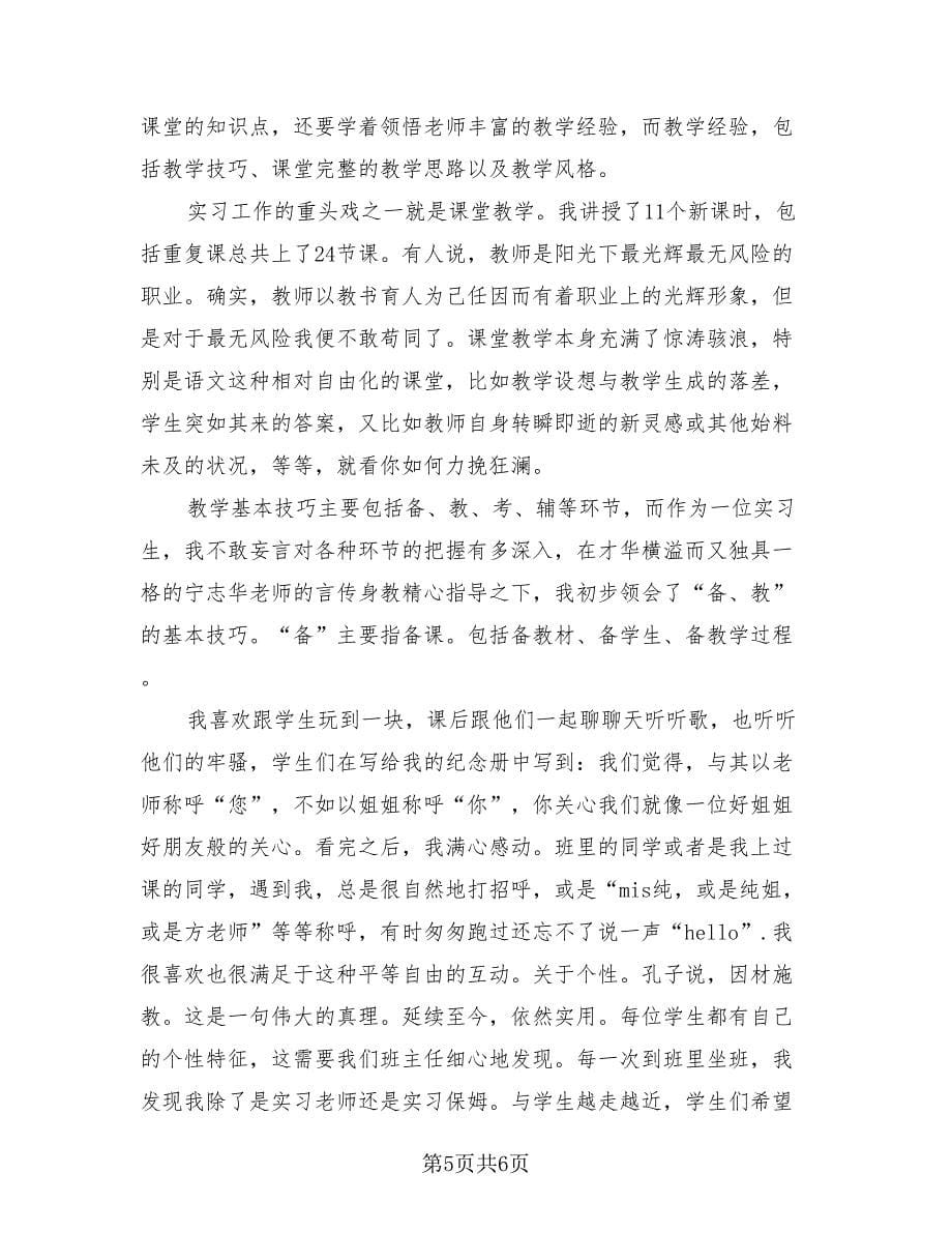 师范生实习总结标准样本（3篇）.doc_第5页