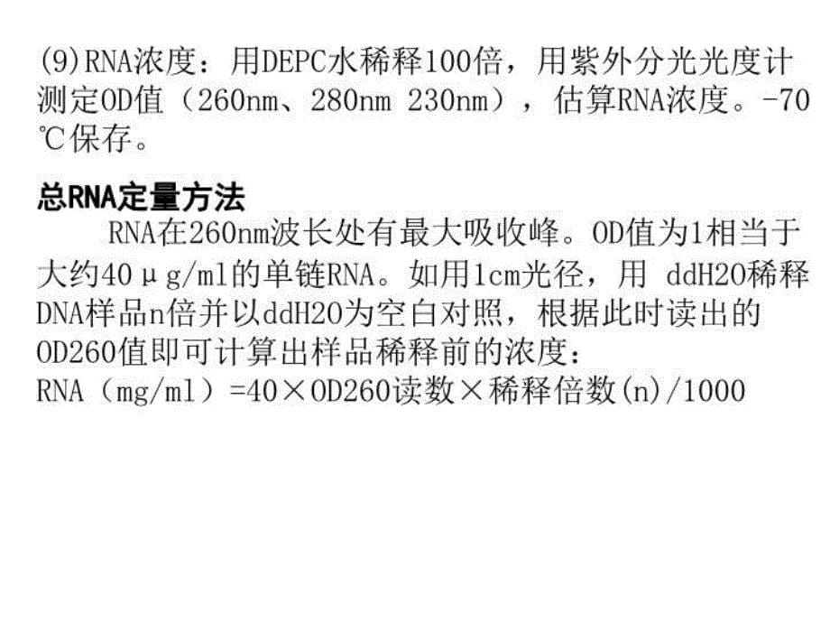 最新实验一、RNA提取及检测PPT课件_第5页