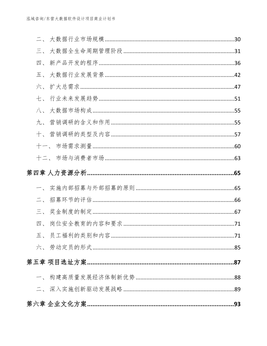 东营大数据软件设计项目商业计划书【模板参考】_第2页