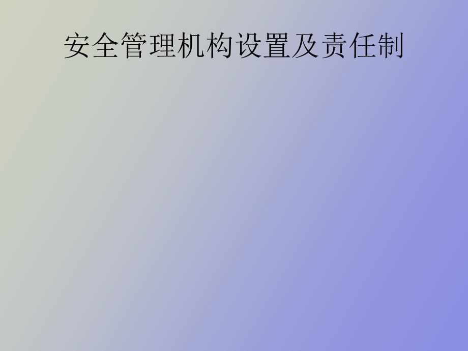 安全管理机构设置及责任制_第1页