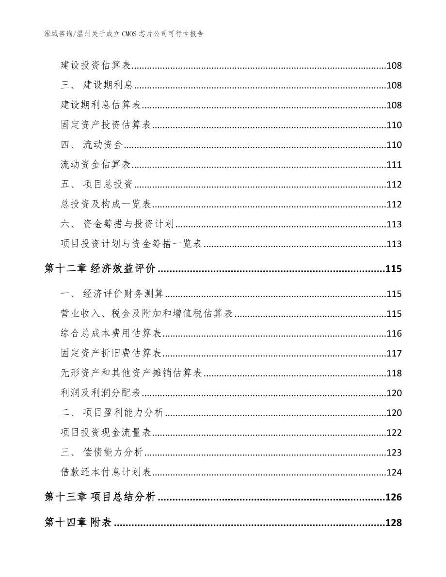 温州关于成立CMOS芯片公司可行性报告（参考范文）_第5页