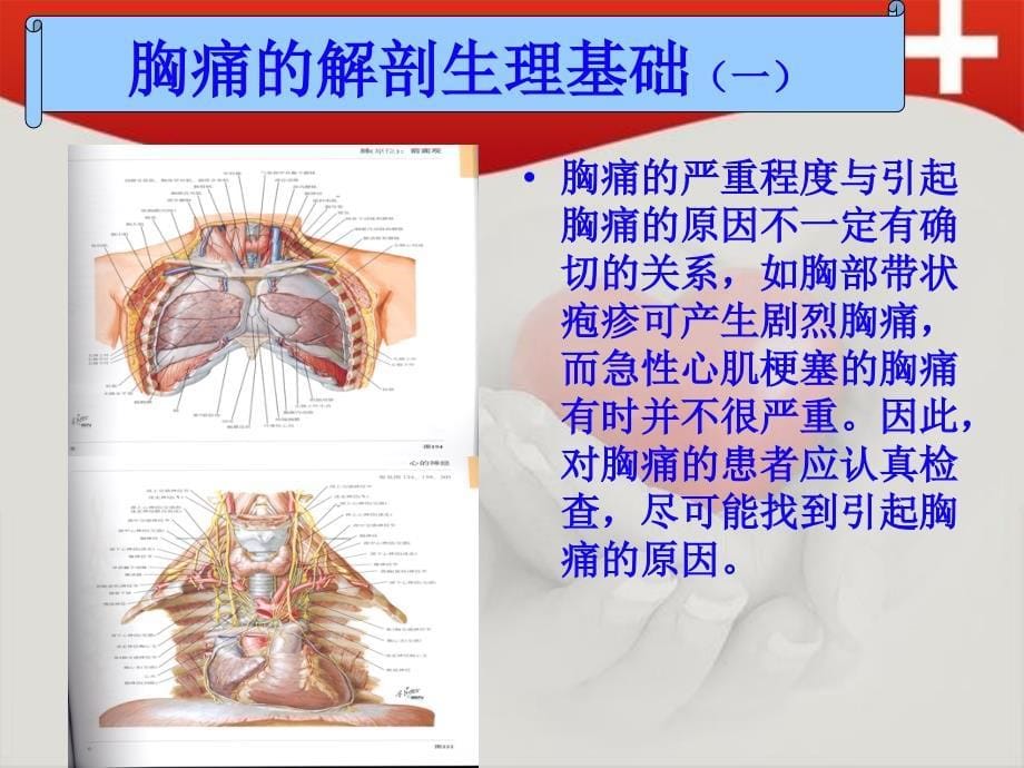 急诊胸痛的识别_第5页