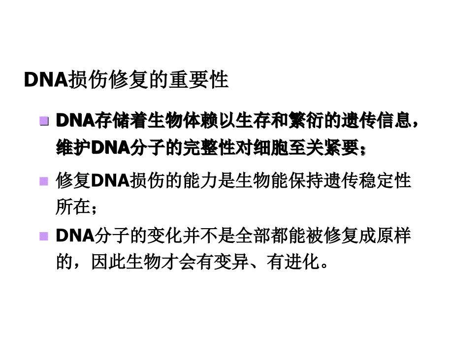 最新第六章DNA的损伤与修复PPT文档_第2页