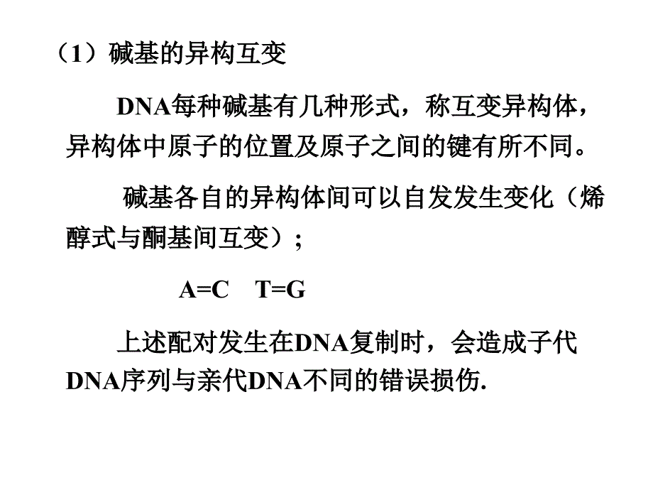 最新第六章DNA的损伤与修复PPT文档_第4页